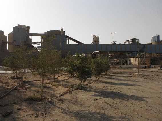 QASSIM